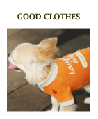 Laughin' Dog-�����R�̗m��������J�^���O