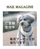 �v���[���g�������郁�[���}�K�W���I���o�^��t��