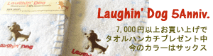 ���t�B���h�b�O5���N�L�O�B7,000�~�ȏエ�����グ�Ń^�I���n���J�`�v���[���g����
