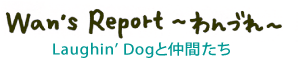 �����d���|�[�g